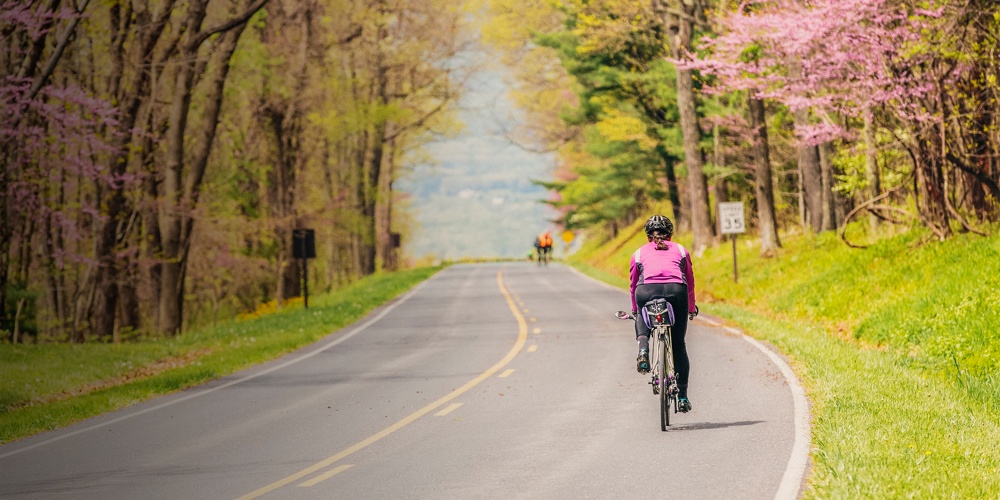 Best parks for sales cycling near me